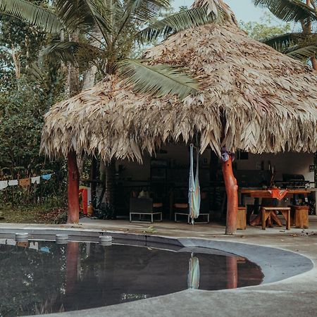 Casa De Los Amigos Caribena Cahuita Exteriör bild