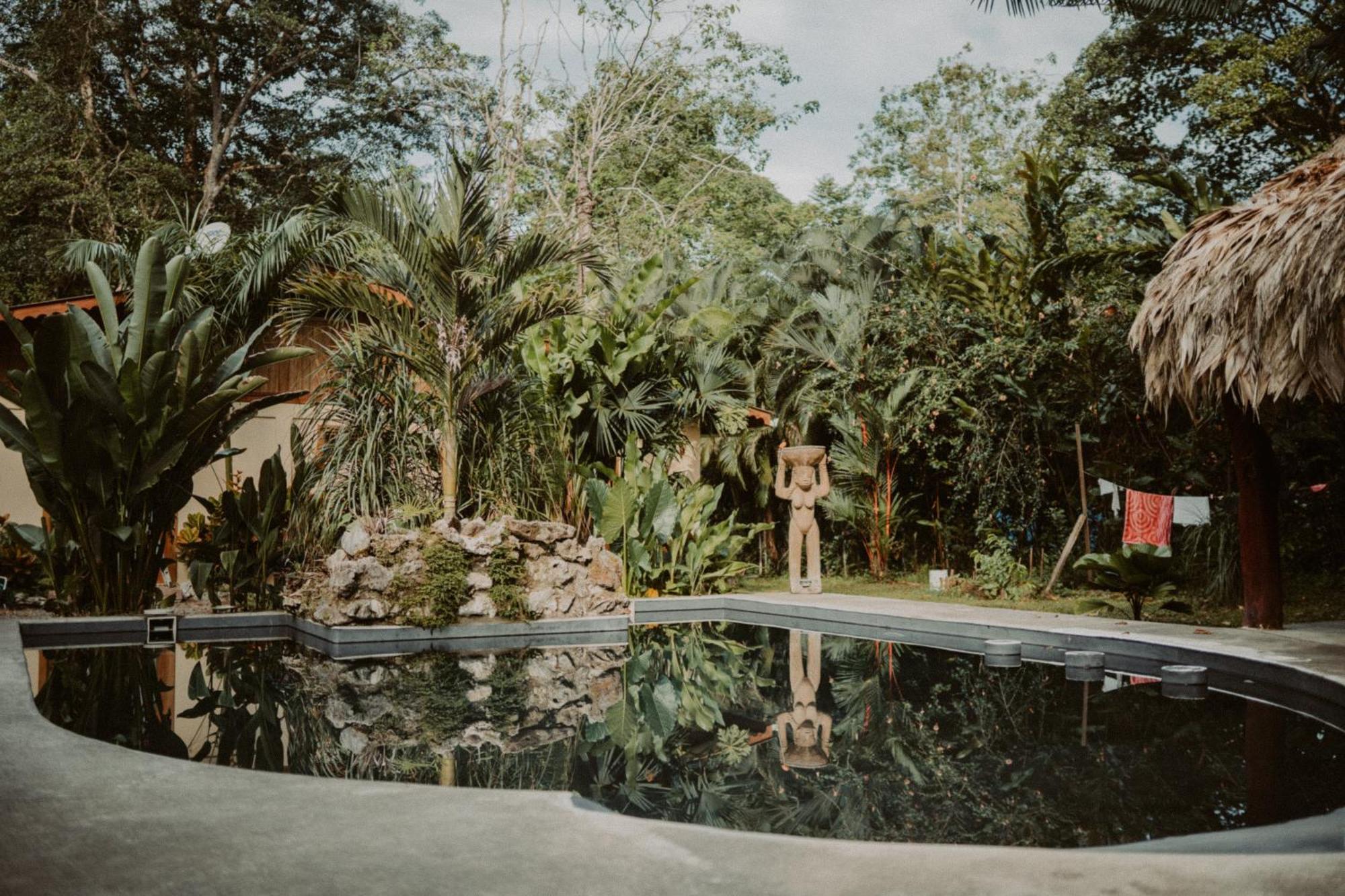 Casa De Los Amigos Caribena Cahuita Exteriör bild
