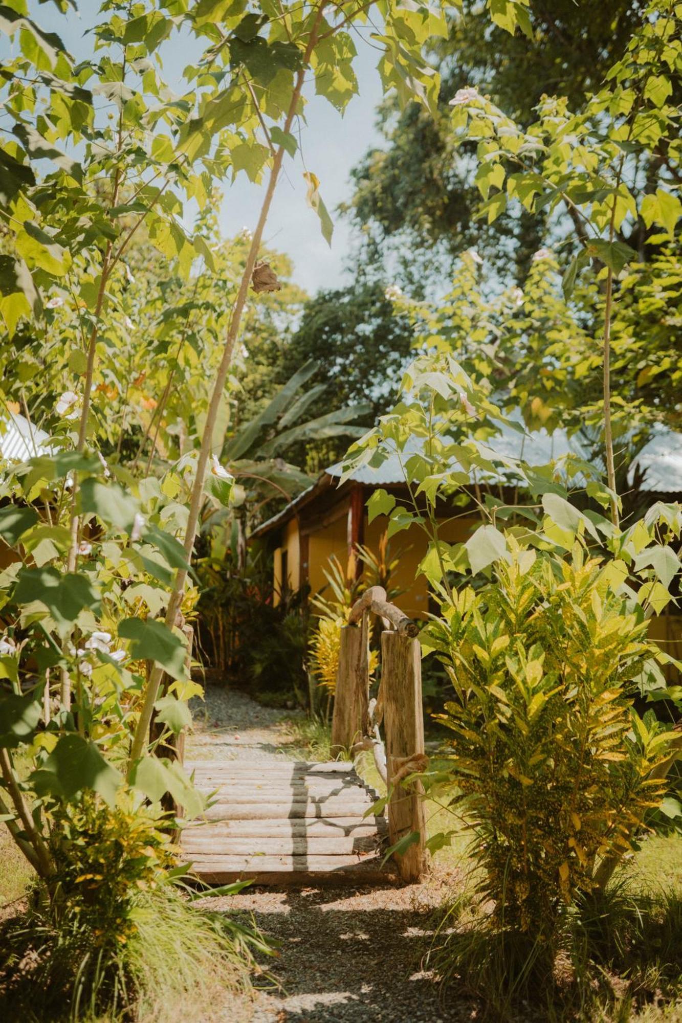 Casa De Los Amigos Caribena Cahuita Exteriör bild